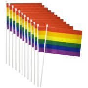 Pride Hand Flag