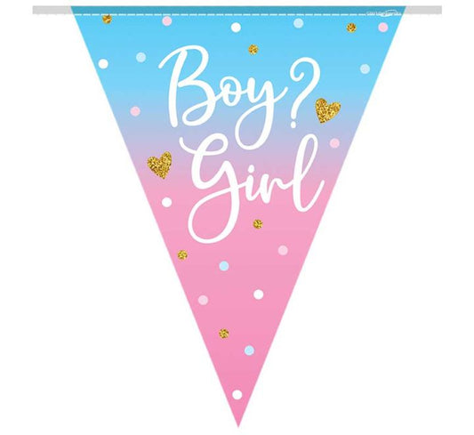 Gender Reveal Bunting 3.9m