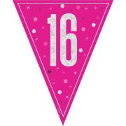 Pink Glitz Bunting 9ft - 16