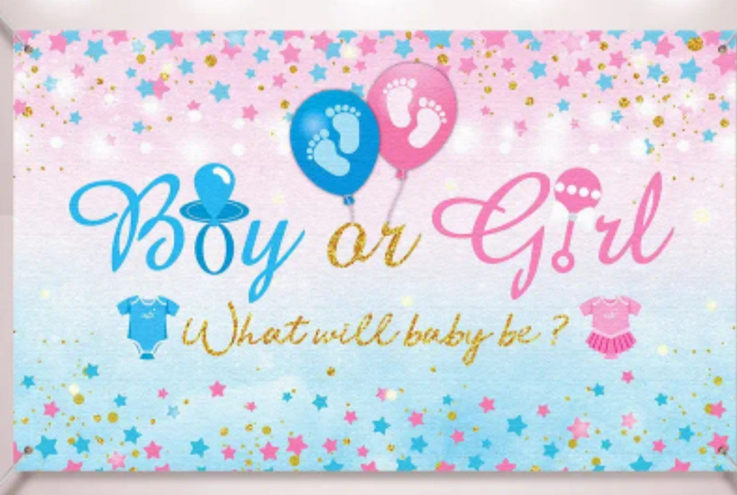 Boy Or Girl Banner