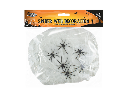 Spider Web Decoration