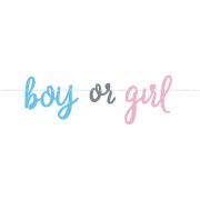 Gender Reveal Banner