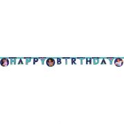 Encanto Birthday Banner