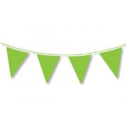 10m Green Bunting