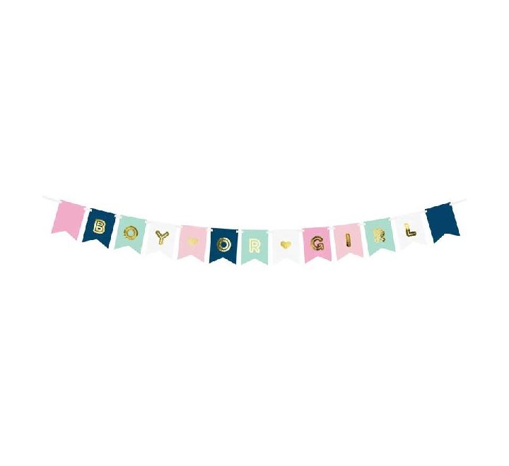 Boy Or Girl Bunting