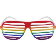 Pride Shutter Glasses