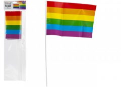 Pride Flags 5pk