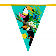 Toucan 6m Bunting